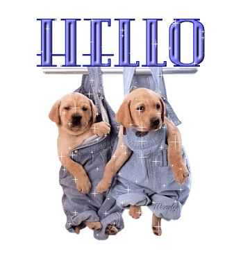 hello