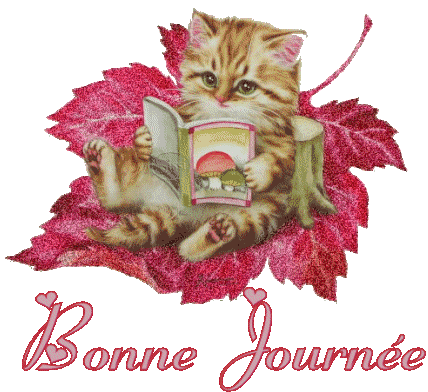 bonne journee